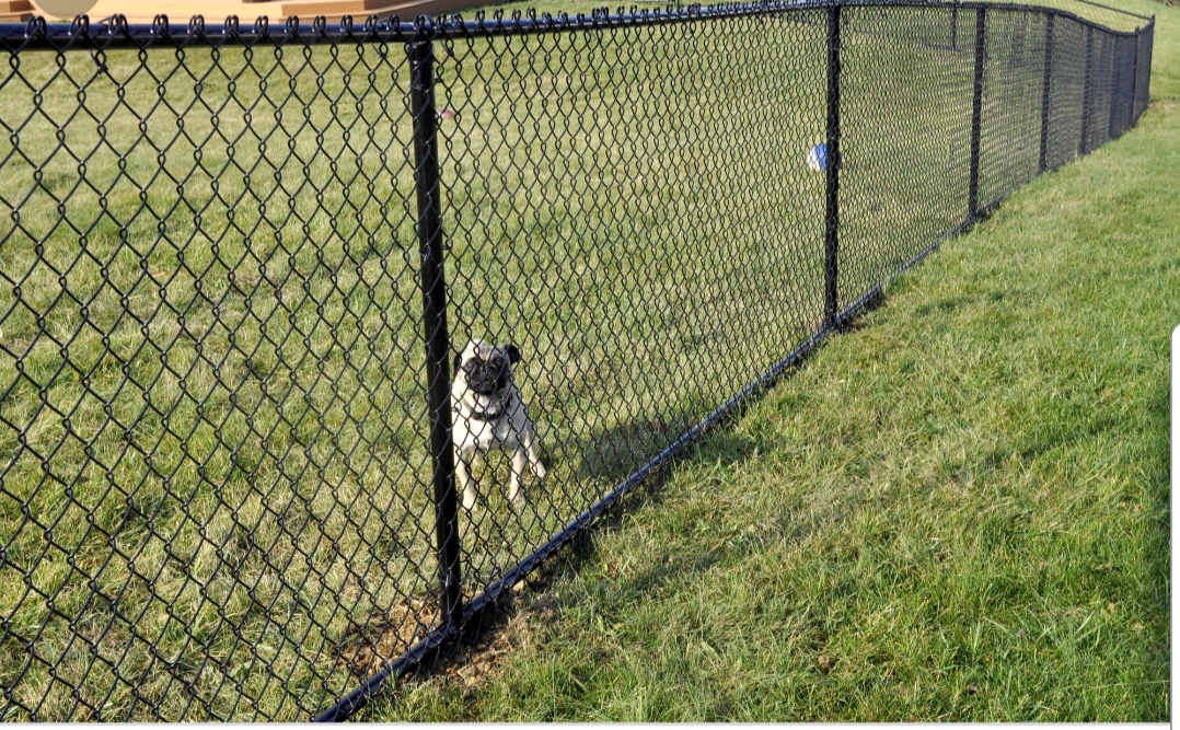 Chain Link Fences Builders in Arlington TX